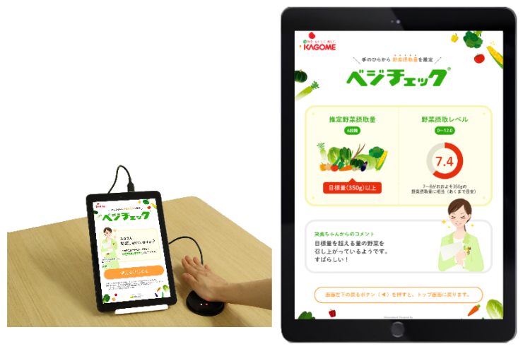 ベジチェックのご案内 | 公益社団法人 岐阜県栄養士会